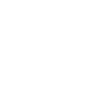 Wally Robotics